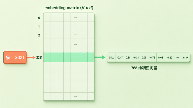 一张 V×d 的大表格按编号 3021 翻到对应行,拉出一个 768 维稠密向量