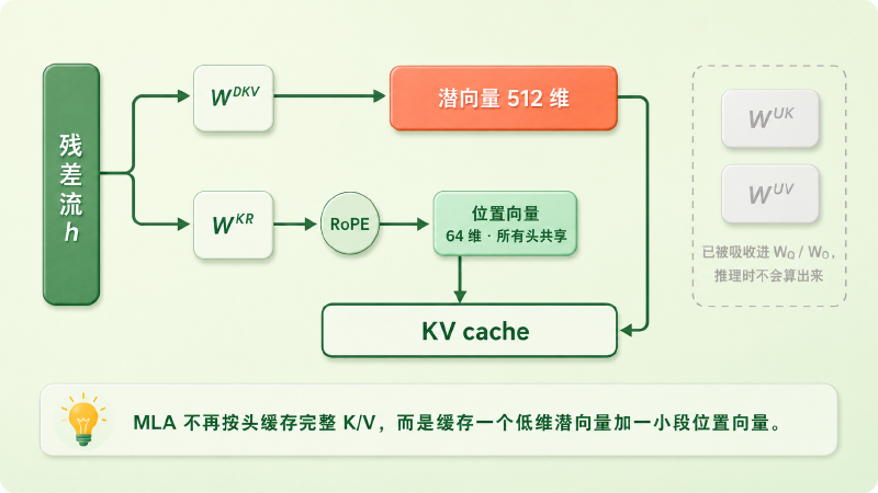 MLA 的三条通道：下投影成潜向量、上投影被吸收、解耦 RoPE 单走一小截