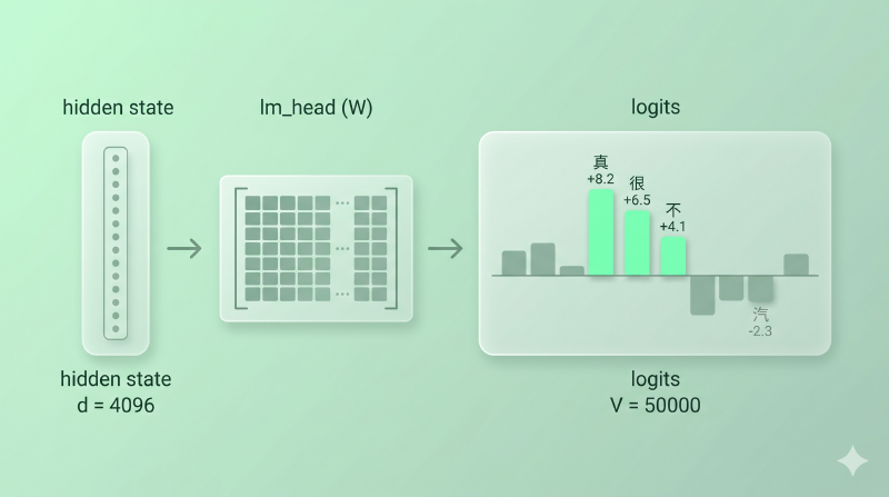 Transformer hidden state 经过 lm_head 投影成 logits 向量