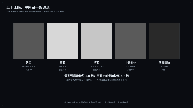 天空·雪面·河面·中景树林·前景暗块五个实测灰度色块对照