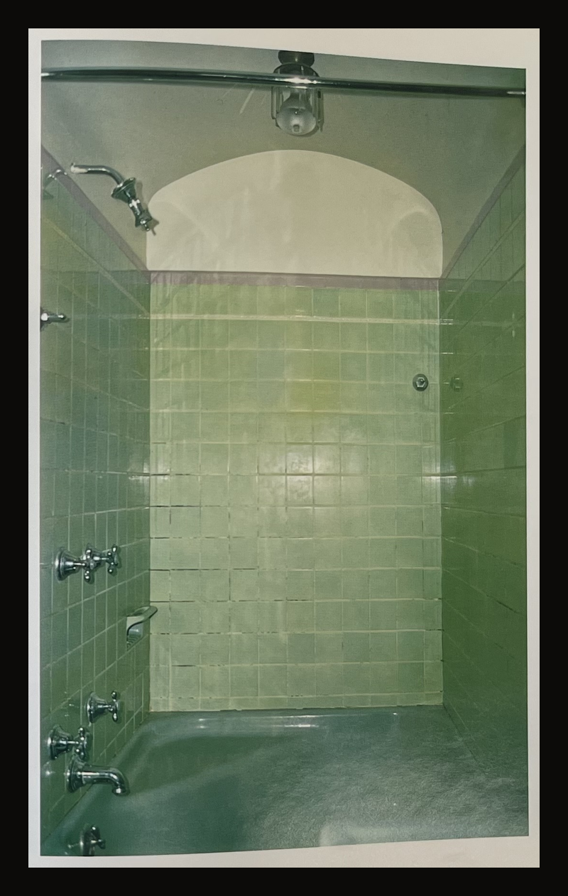 图2：William Eggleston，Memphis，绿色淋浴间书页图版