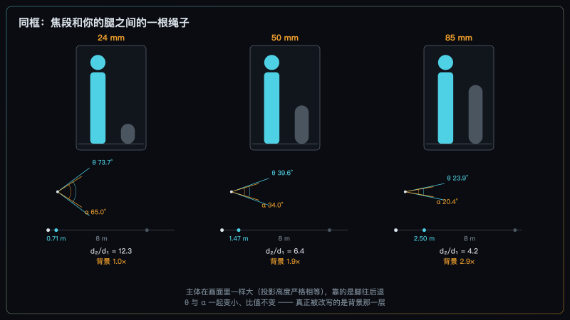 三格对照示意图:每格一个焦段,上方是画面预览(主体高度恒定、背景树依次变大),中间是视场角与主体张角两个角度扇,下方是相机、主体、树三点共用一把尺的距离条